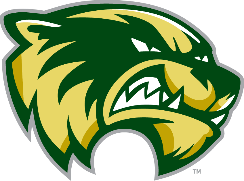 Utah Valley Wolverines 2008-Pres Alternate Logo v2 iron on transfers for fabric